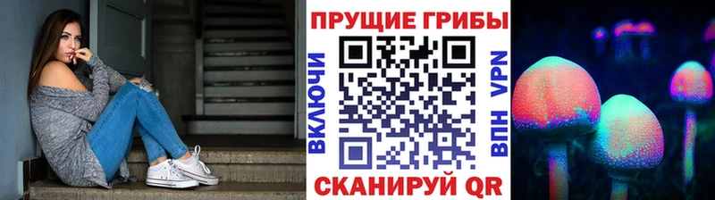 Галлюциногенные грибы Psilocybine cubensis  Протвино 